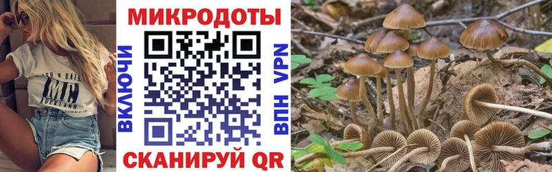 Галлюциногенные грибы мицелий  Купить где  Норильск 